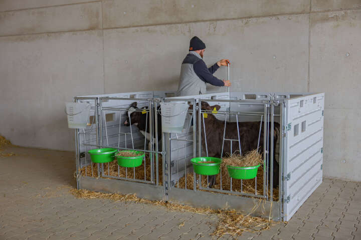 KERBL Modulare Kälberbox (Doppelbucht)